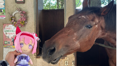 How Did Haru Urara Become Legendary? Most Unforgettable Moments the Beloved Japanese Horse Made a Name for Itself