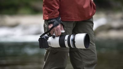 Game = Changed: OM System's 50-200mm f/2.8 is a first-of-its-kind lens that costs a third of some full-frame 400mm f/2.8 primes