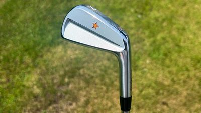 Vega SS Irons Review: Both Beautiful And Terrifying In Equal Measure