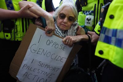Arrest of ‘harmless old ladies’ what outlawed Palestine Action wants – Clarke
