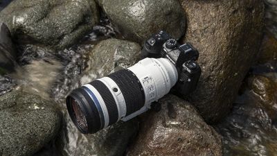 The reason to shoot Micro Four Thirds isn’t the sensor – it’s the lenses. This new 100-400mm equivalent f/2.8 zoom is a prime example!