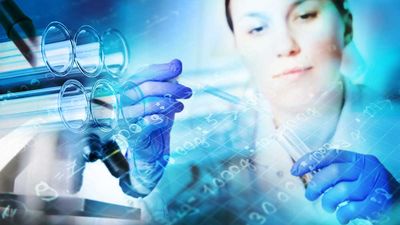 China-Tied Biotechs Zai Labs, BeOne Plunge On Rumored Executive Order