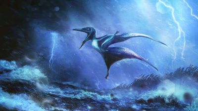 'Our hearts stopped': Scientists find baby pterosaurs died in violent Jurassic storm 150 million years ago