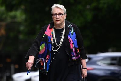 Victorian Liberals director resigns after messages mocking the party’s women’s council revealed