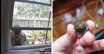 76 Times Landlords Were So Horrible, Renters Wanted To Run Away (New Pics)