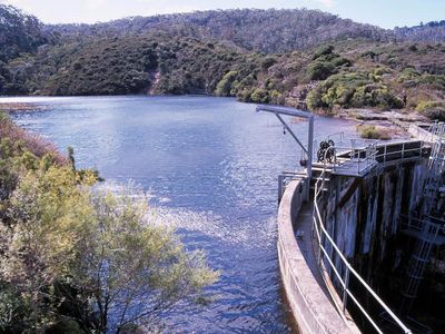 Sydney Water failed to properly test before declaring ‘no known Pfas hotspots’ in catchments, inquiry finds