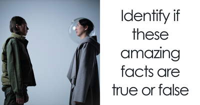 Score 30/35 On This Random True-Or-False Facts Quiz And Prove You’re A Trivia Genius