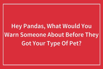 Hey Pandas, What Would You Warn Someone About Before They Got Your Type Of Pet?