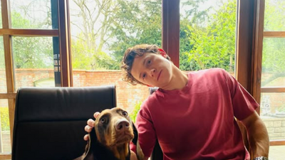 Tom Holland Net Worth, Update: Actor Turns Sobriety Into a Lucrative Business, Now Plans to Open a School That's 100% Tuition Free