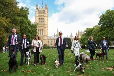 MPs joined by four-legged friends for Westminster dog show