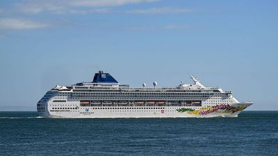 ‘Did he actually think that was gonna work?’: Man jumps off cruise ship to escape $16,000 gambling debt, gets arrested anyway