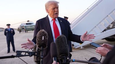 Trump wants ‘the right to do anything I want’ but ‘only dictators have that power,’ constitutional expert argues