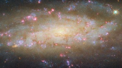 Hubble telescope spies glowing galaxy in a cosmic 'Crane' | Space photo of the day for Sept. 11, 2025