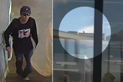 ‘He was on a mission’: Experts reveal the skill Charlie Kirk’s killer needed to pull off a single-shot assassination