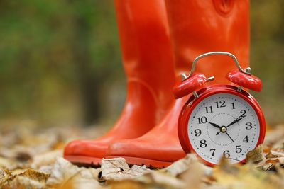 The Final Countdown for Retirees with Investment Income