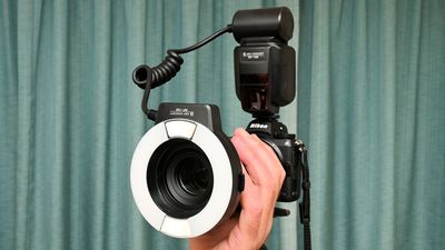 K&F Concept KF-150 Macro Ring Flash review: close-up flash for Canon and Nikon cameras