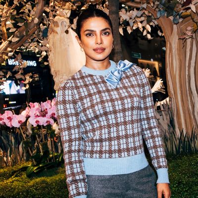 Priyanka Chopra-Jonas's Glossy Hair Outshines the NYFW Runway