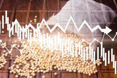 American Soybean Farmers Become Scapegoat In US-China Trade Tussle, Plead Trump For Bailout: 'Unless Something Miraculous...'