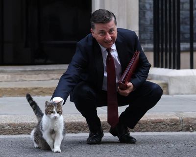Downing Street says Starmer still has ‘confidence in his top team’ after Rayner and Mandelson departures – as it happened