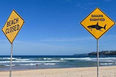 Are shark attacks on the rise in Australia? And what is being done to reduce the risk of fatal interactions?