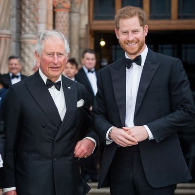 King Charles Made a Special Allowance for Prince Harry During His UK Visit