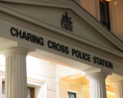 Nine Met police suspended amid inquiry into claims of excessive force