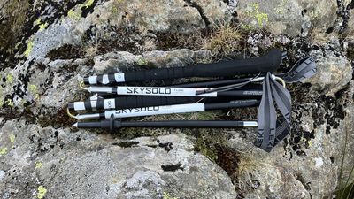 Leki Skysolo FX.One Carbon trekking poles: ridiculously light, superbly supportive