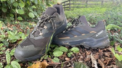 Adidas Terrex Skychaser AX5 hiking shoes review: Super-comfy budget-friendly hiking shoes for long-distance treks in sunny conditions