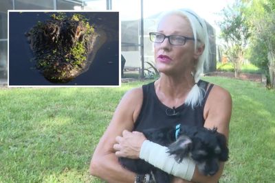 Florida woman fights off five-foot alligator with bare hands after it attacked her dog