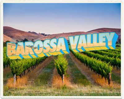 ‘The next generation is coming up’: a local’s guide to the Barossa Valley
