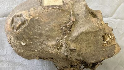 350-year-old mummified head from Bolivia isn't what it seems