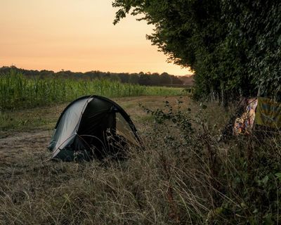 Country diary: Finding common ground when you least expect it