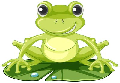 What Is a Groyper? Debunking Rumors on Whether Charlie Kirk Shooter Tyler Robinson Was One