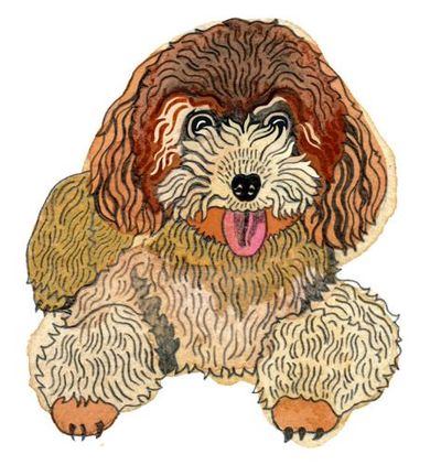 How many domestic dogs are there and do flies see in slow motion? The kids’ quiz