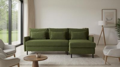 This Just-Launched Sofa Bed Has Secret Storage and a Space-Saving Design That Makes It A Saviour for a Small Living Room or Guest Bed