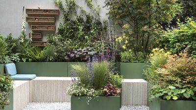 7 easy ornamental grasses to plant in September that'll bring texture, movement, and beauty to your garden – plant them now before it's too late