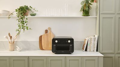 Say goodbye to your oven – Panasonic's new air fryer can fit an entire pizza
