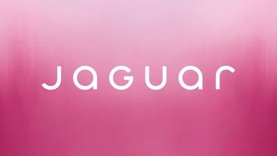 Why Jaguar's right to stick to its controversial rebrand