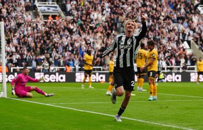 Nick Woltemade makes instant impact on Newcastle debut to see off Wolves