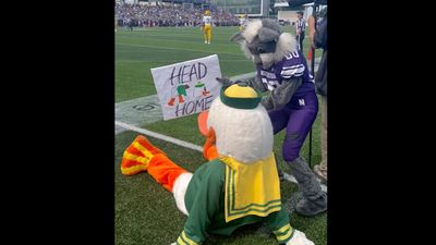 Northwestern Mascot Perfectly Trolled Oregon Duck After Falling Incident