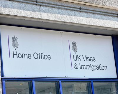 What do the immigration figures for the UK really show?
