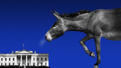 Democrats embrace government shutdowns in Trump 2.0
