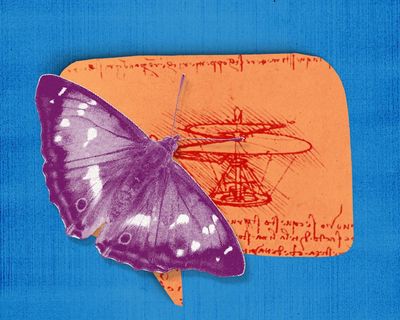 I used to embrace my manic episodes – until a therapist’s advice set me straight, and out on a butterfly hunt