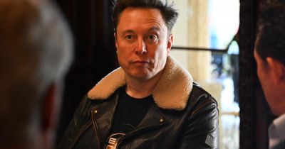 Elon Musk accused of 'incitement' after calling for 'revolutionary change' in UK
