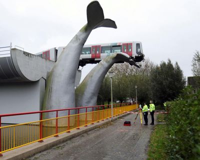 Can art save lives?