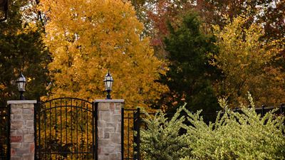 Gardeners urged never to do these 5 things during a false fall – or risk permanent damage to plants