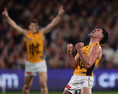 Home and away chaos banished as four best teams land in AFL preliminary finals