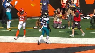 Fan Throws Adult Object Onto Field After Bengals WR Makes Incredible Catch vs. Jaguars