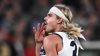 'A different cat': Smith backed after fresh controversy