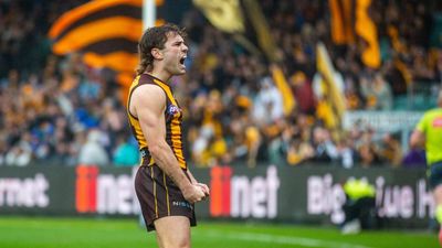Fan-tastic support for Wizard spells trouble for Cats